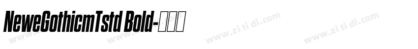 NeweGothicmTstd Bold字体转换